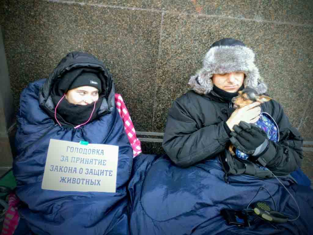 Голодовка зоозащитников ради принятия Закона "Об ответственном обращении с животными" ghope.ru/news/golodovka…