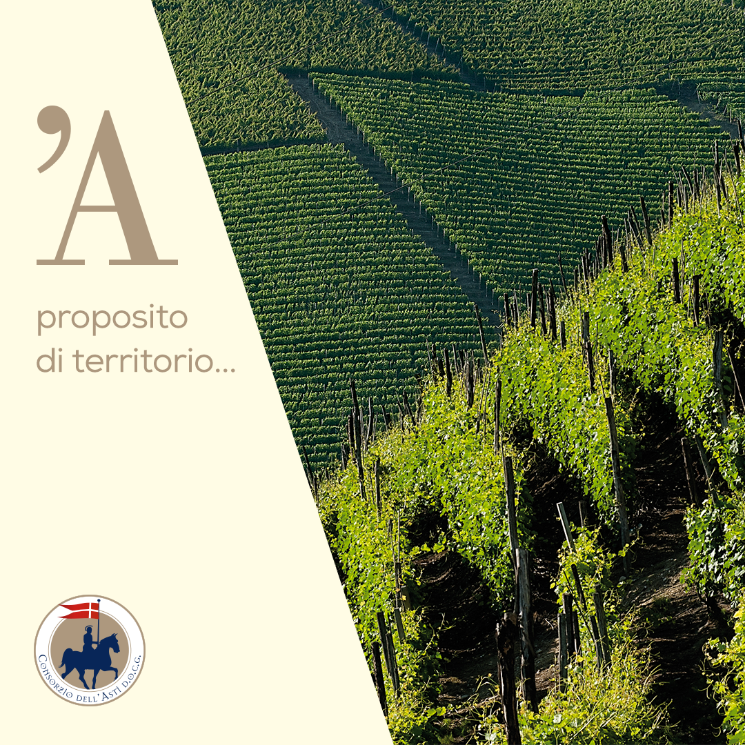 ConsorzioAsti's tweet photo. Oggi comincia un nuovo viaggio nella terra patrimonio dell’UNESCO, dell’uva Moscato bianco e dei vini #ASTIDocg. Sentite già il profumo dell’uva? https://t.co/bEZ4a5O2z2