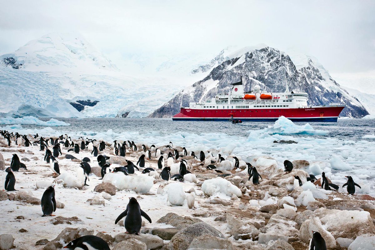 Animokoffie's tweet photo. For serving fresh filter coffee at sea the expedition-cruise ship MS Expedition uses the new Animo ComBi-line. Animo can quickly respond to special customer requirements. We have adapted our machines for coffee in trains and at sea. https://t.co/uftrkW46Hq https://t.co/DWcWa3jGTc