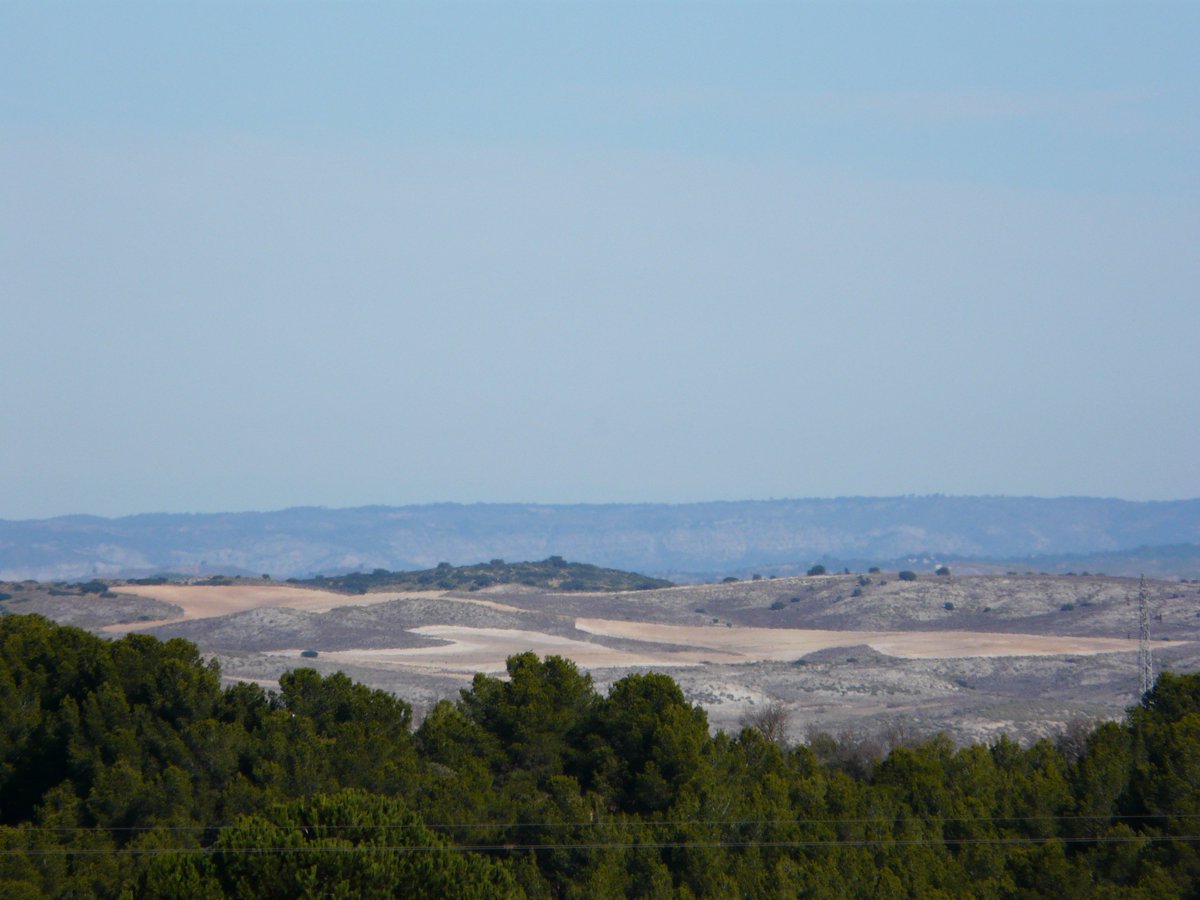 _PaZeando_'s tweet photo. ¡Buenos días desde un rincón de La Mancha!
#PaZeando #soydepueblo #trotamundos #nomada #viajes #experiencias #ponelcorazon #nacesOpaces #comunicacionconsentimiento #lugaresconencanto #sientetedepueblo #cuenca #castillalamancha https://t.co/rTSd3XTPcF