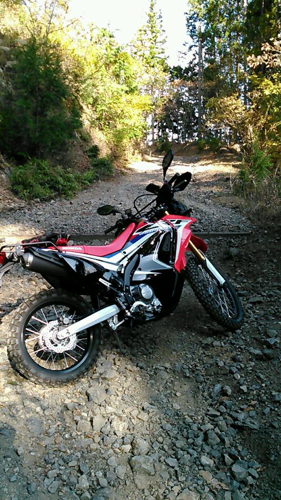 Qsケイコ Crf250ラリーldをレンタル 高速使って秩父の御岳山林道へ 現所有のklx250とは比較にならない高速の快適さ 風防すご しかも思ったより重くなく 林道なら体感差ない 欲しい Crf250rally 林道ツーリング