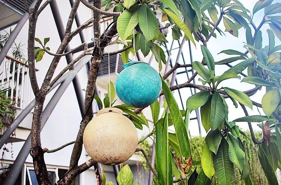 The greenery is here @edenkutabali. Picture by <a href="/myberlinfashion/">Jasmin</a>