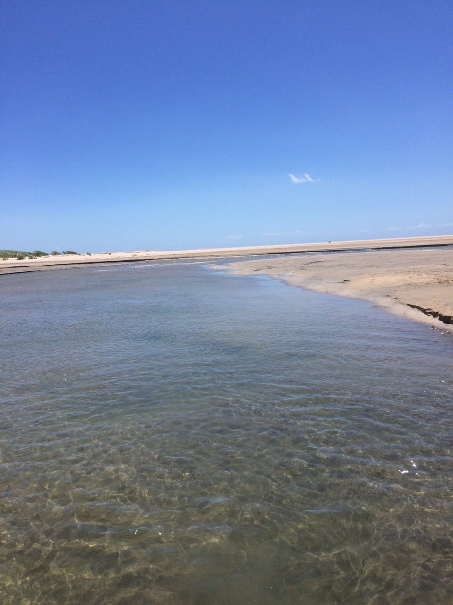 Bom dia! Qui todos tenham um ótimo feriado 💪🏽🙏🏽👍🏽#BetaQuerLab