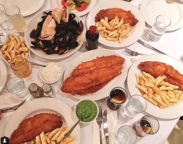 Fish Central tweet media