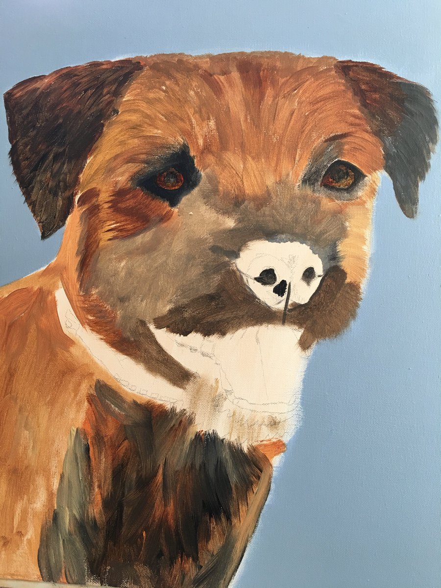 4pawsart's tweet image. ON THE EASEL - RIGBY STAGE TWO ...Starting to block in the first layer of fur To commission your own pet portrait -   Contact Elaine 4PawsArt.com @CHOICEnetworkin @NEFollowers @durhamhour @doggie_diner_BH @doggie_ @sunderland_hour @PetNPony @HSdirectSA @EBorderterrier