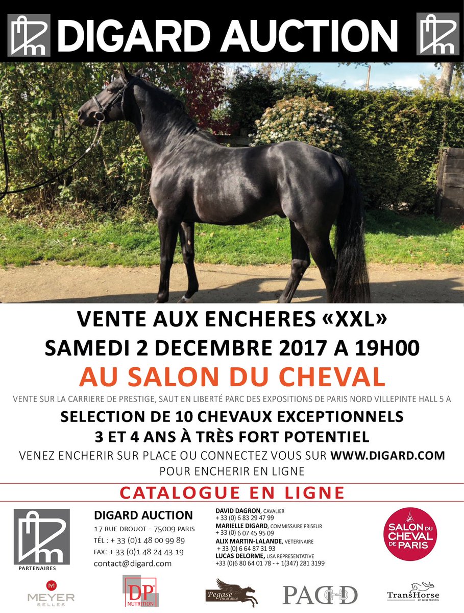 DIGARD AUCTION tweet media