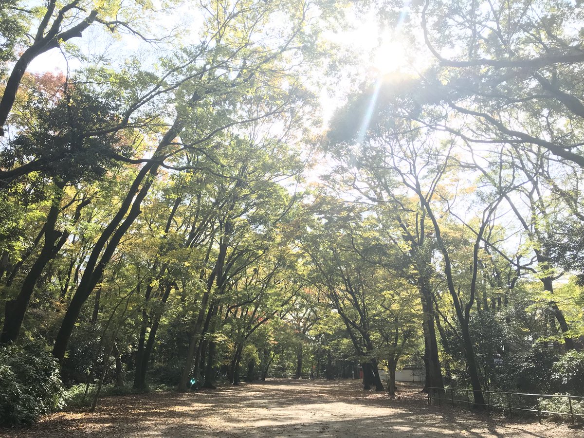 Hiro_Titanfall's tweet photo. 今日は朝から敷地調査に行ってきたー。この周辺の住民に色々聞けてここの問題が見えてきた https://t.co/LNplqJD55O