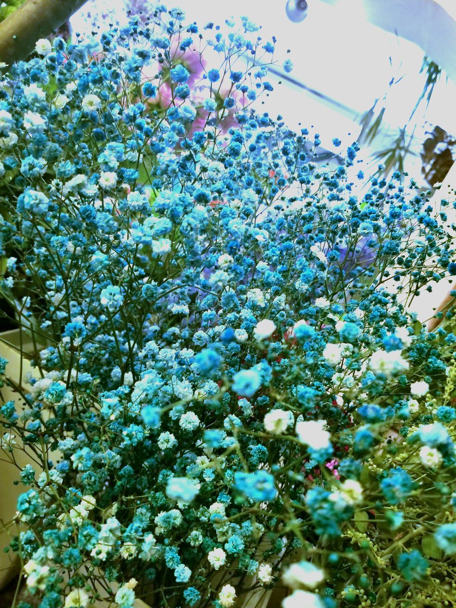花かんざし Hanakanzasi Twitter 花かんざし Hanakanzasi Twitter