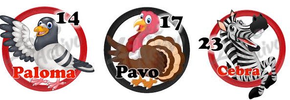 RebelionHipica's tweet photo. Aquí los Regalos para este Miércoles 15-11-17, Hoy Estaremos Excelentes!!! https://t.co/dmcuA4bVoE