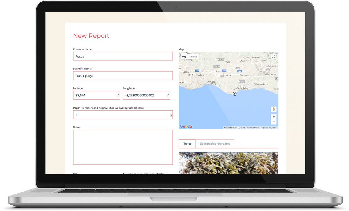 Simple steps for #biodiversity science: 1. Find a #marineforest  2. Take a picture  3. Go to marineforests.com