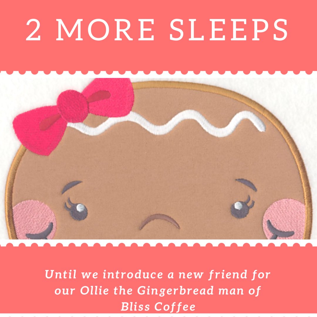blisscoffeeshop's tweet photo. There's still time, 2 more sleeps! We're so excited, Ollie can't contain himself. #2moresleeps #gingerbreadgirl #inthehouse of @blisscoffeeshop #madeatbliss #blisskitchen #reducedsugar #lookingaftereachother https://t.co/tpORUHY2Ay
