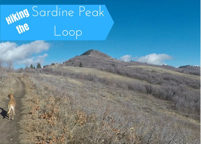 Looking for a #dogfriendly loop #hike? The Sardine Peak Loop is 9 miles and is very gradual plus you can stop by the Ogden Canyon Overlook for some great views. #TrailGuide: girlonahike.com/2017/11/hiking… <a href="/snowbasinresort/">Snowbasin Resort</a>