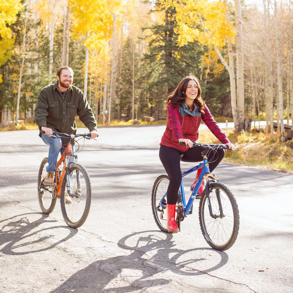 парный велосипед. Ride matching. скачки на лошадях. The longest ride. конный спорт.