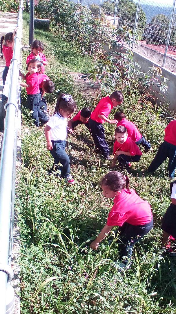 Ver imagen en Twitter