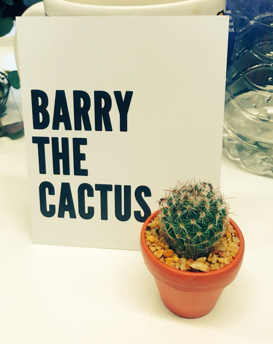 New desk friend courtesy of @EmilyAnstead #barrythecactus 🌵💚