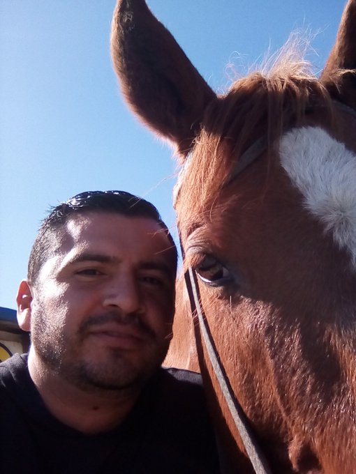 Moises Franquez’s pics and videos