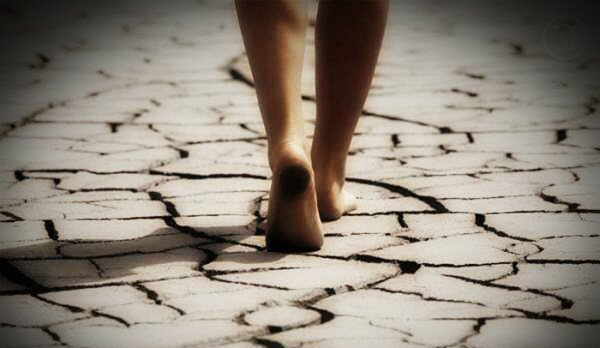 citiamo's tweet image. Se non ti fermano
mentre ti allontani
allora continua a camminare.
Guarda avanti, senza voltarti.

Paulo Coelho