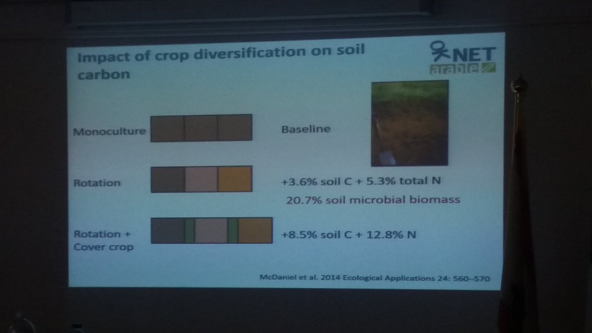 Christine Watson about the impact of crop diversification on #soilcarbon  #OKNETArable