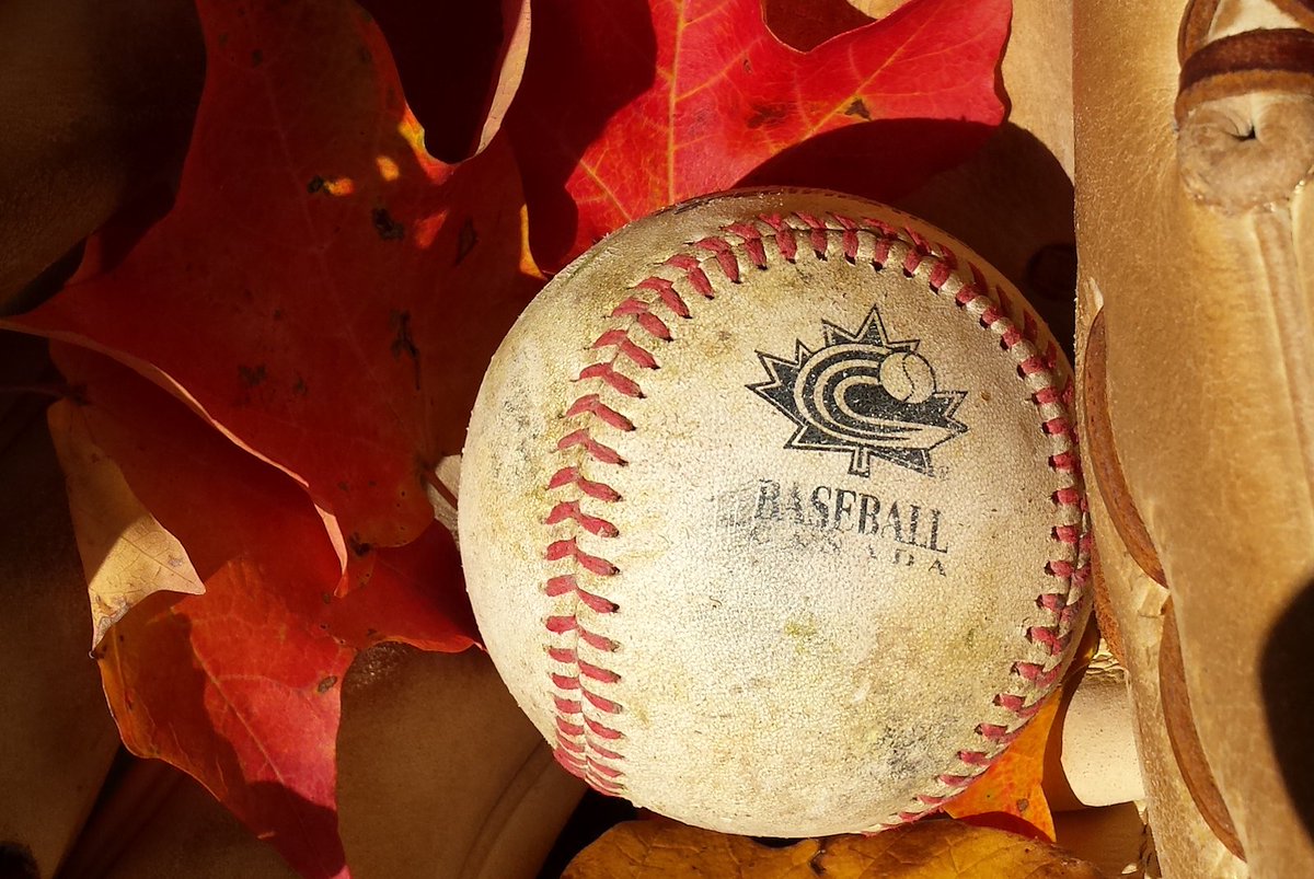 baseballcanada's tweet photo. Safe travels to all heading to Hamilton today for the #BaseballCanada Fall Meetings! Looking forward to a productive week and hospitality from @BaseballOntario! #BCFM17 🇨🇦✈️⚾️ https://t.co/G0p3YrAoH9