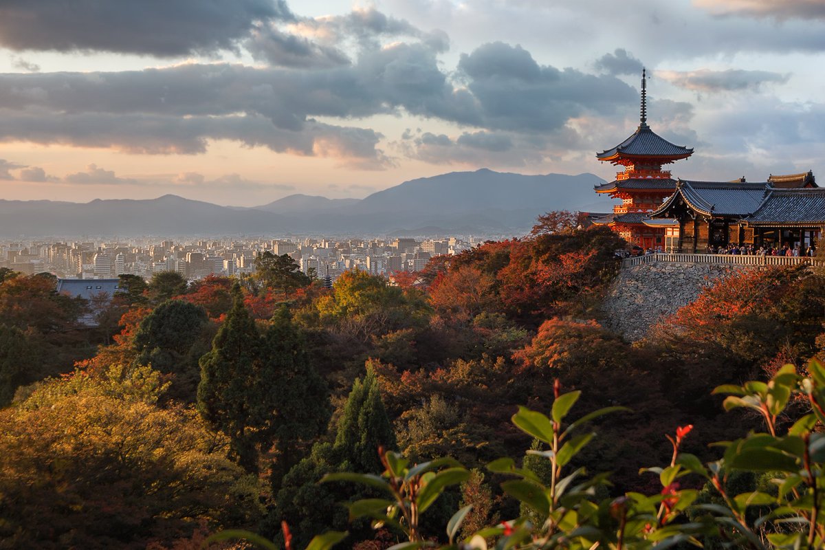 fulloftravel's tweet photo. Kiyomizu-dera temple in Kyoto #japan #travel #landscape #landscapephotography #asia #kyoto #autumn #fall #kiyomizudera #sunset #buddhism #travelphotography https://t.co/k4IO7y7MWi