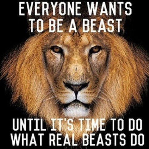 significann's tweet photo. Welcome to the #jungle. #beastmode #work #hustle #grind #motivation #entrepreneur https://t.co/2ryrR395kZ https://t.co/w553HrgRT8