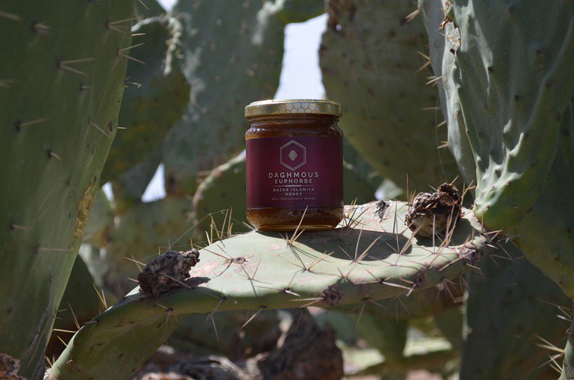 bazar_islamiya's tweet photo. 🍯La nouvelle récolte de #miels de #daghmous et arrivée recommandé entre autres dans le traitement de(s)
L’asthme,
Allergies,
Maladies cardio-vasculaires,
L’hypertension
Fertilité                                                                        https://t.co/Ohyc4efh7o https://t.co/4oJSr6Y4E9