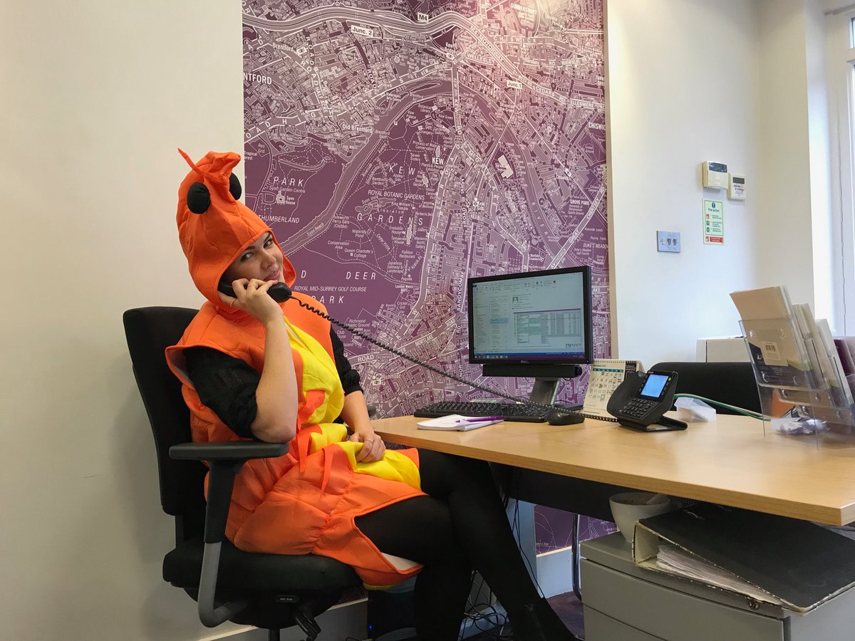 Daniel Killick tweet media