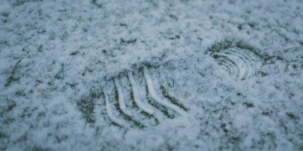 Faites un petit geste pour la planète 🌏🌳🐳 ! Devenez végan !
👉 ow.ly/1EK130gwseE #govegan #veganfortheenvironment #sustainability #prayforrain #climatechange #veganpower