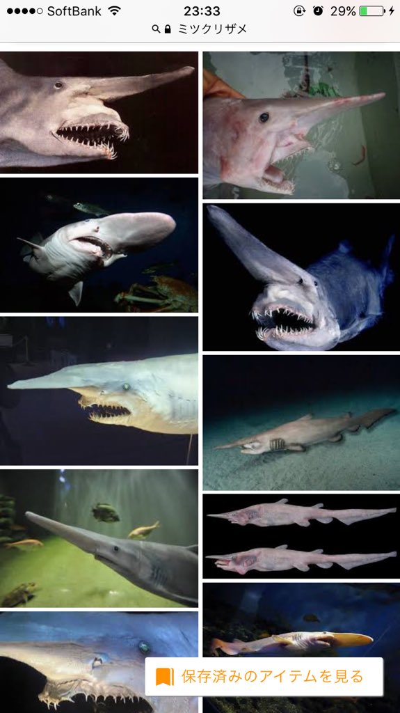 Mr No Asabatyou 深海魚と怪獣といえば ガメラに出てくるジグラがそのまんま 深海怪獣ですね 元ネタはゴブリンシャークこと ミツクリザメだど思います T Co Ml7ps5gtdg Twitter