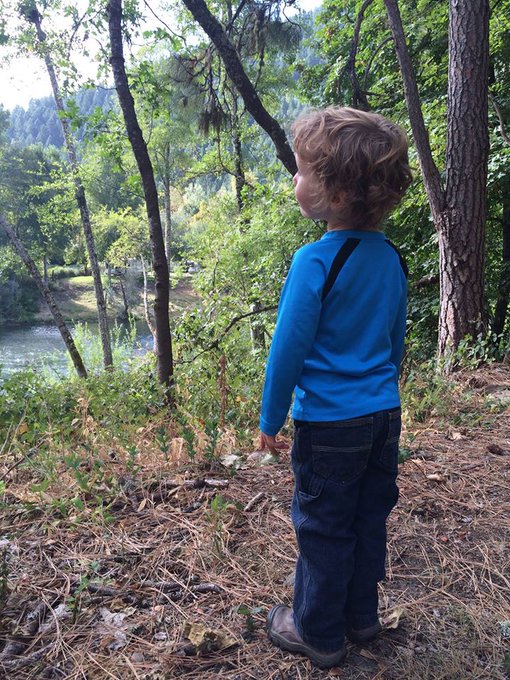 View image on Twitter