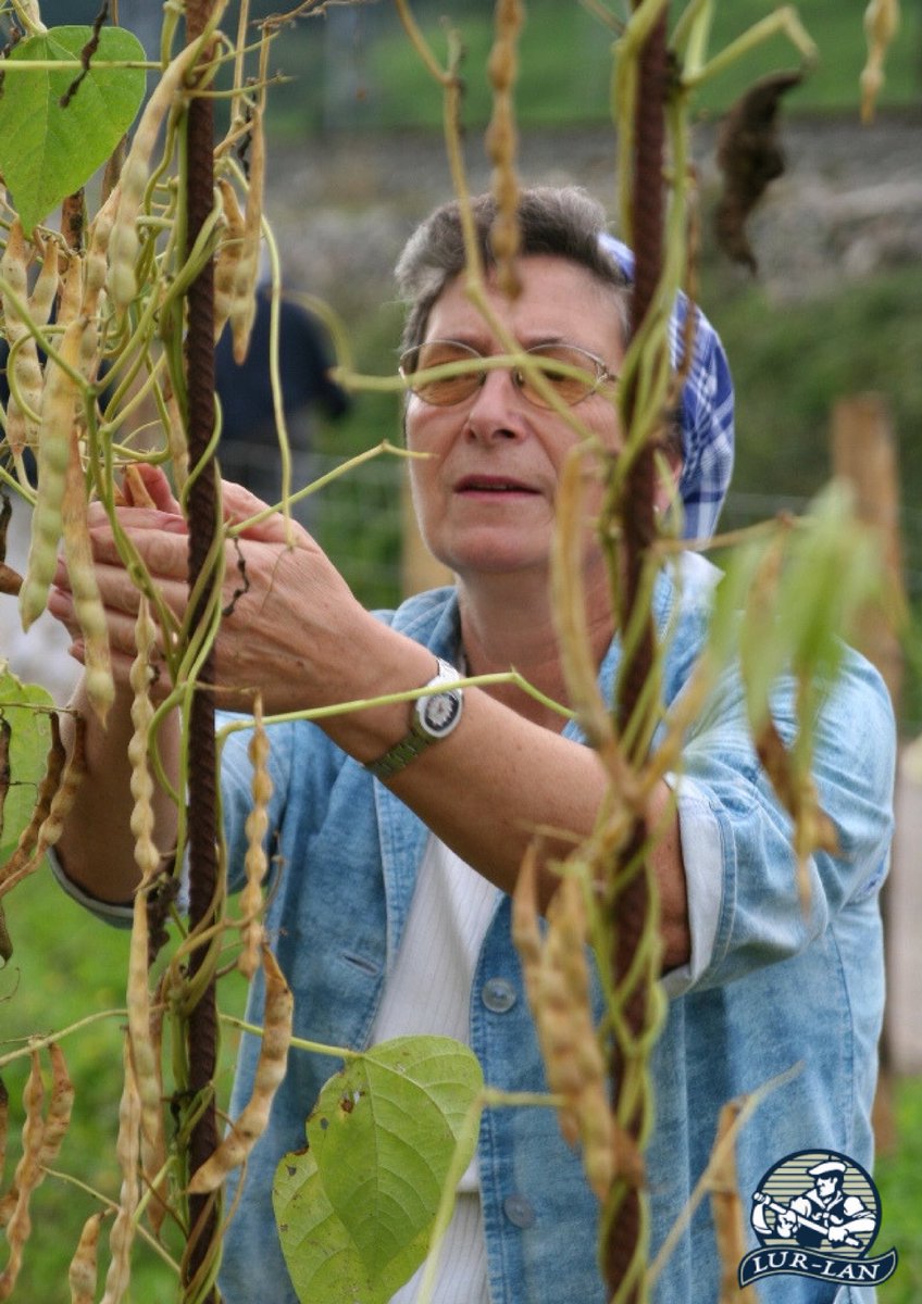 Babarrun festa izango dugu bistroten, gure ekoizleak protagonista, 13etatik aurrera larunbatean lurlanbistrot.eus/tolosako-babar… <a href="/WomanSarea/">WomanSarea</a> #baserritarrak #saregileak #emakumeak