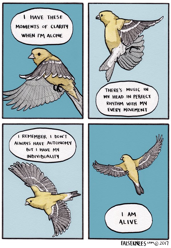 Happy November-hump all!
https://t.co/8fIjqsHNGe
#falseknees #comic #americangoldfinch 