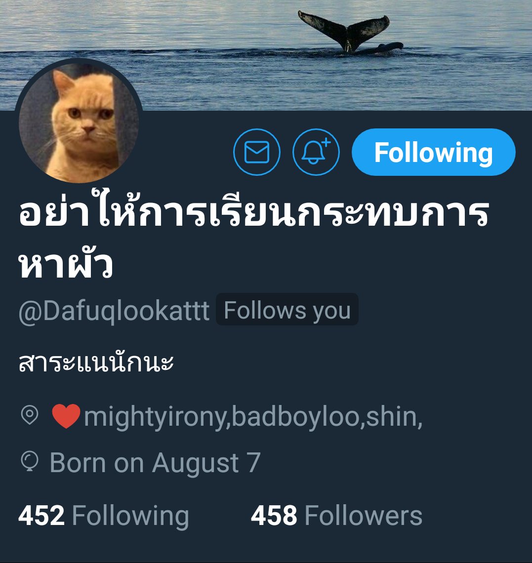 คือผมต้องทราบไหม 🐈‍⬛ tweet media