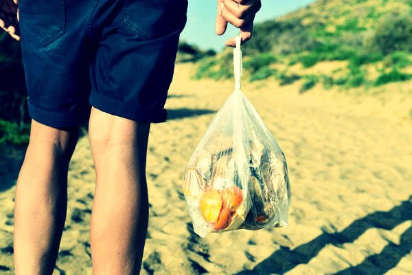 Explore Into tweet media