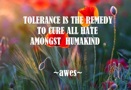 Words_of_AWES's tweet photo. https://t.co/YE6AkZr2wI