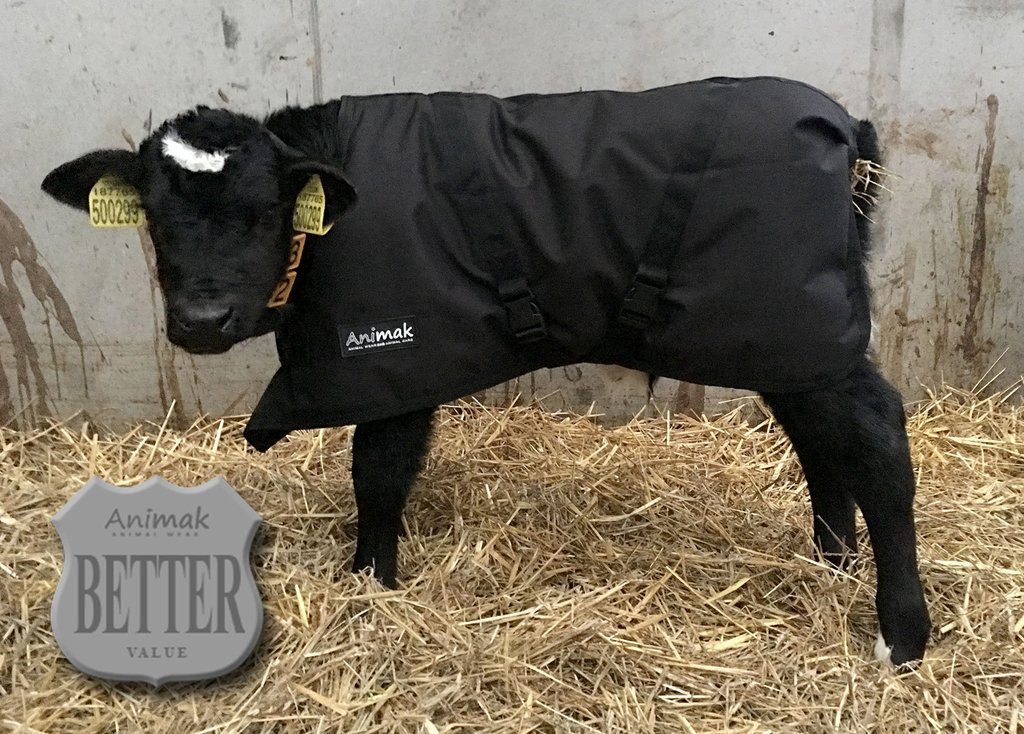kiwikitroxan's tweet photo. Why do calves need @AnimakUK jackets?
Far from being a fashion item, calf jackets can help new-borns and young calves stay warm, healthy and reduce the risk of disease. #teamdairy #calving2017 #farming365 #Animak
Available online and in store: https://t.co/kxw6vrRt8C https://t.co/OLPAwNjCCU