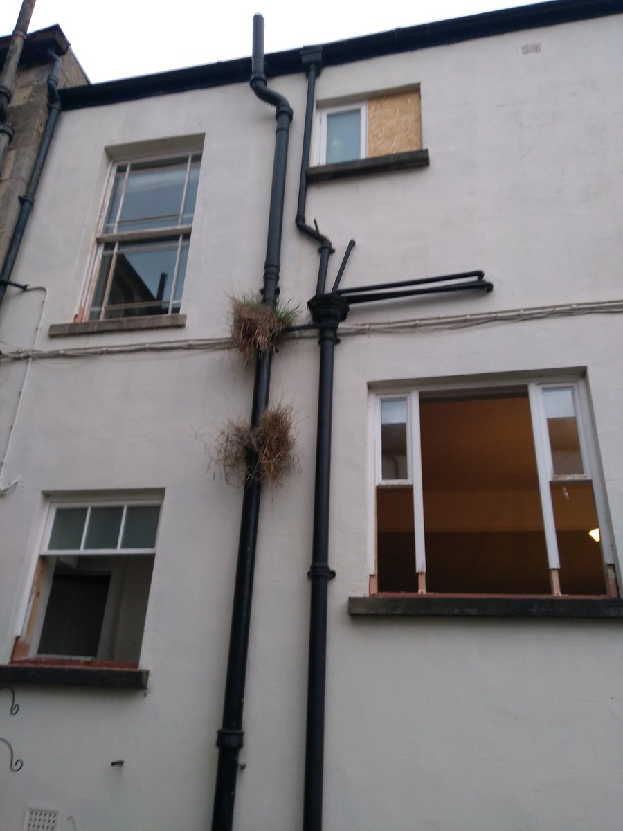 renosash's tweet photo. Definitely a work in progress! #SashWindowRepair #SashWindowPainting #Stroud #Cheltenham #Gloucester https://t.co/ZtinmwUsVf