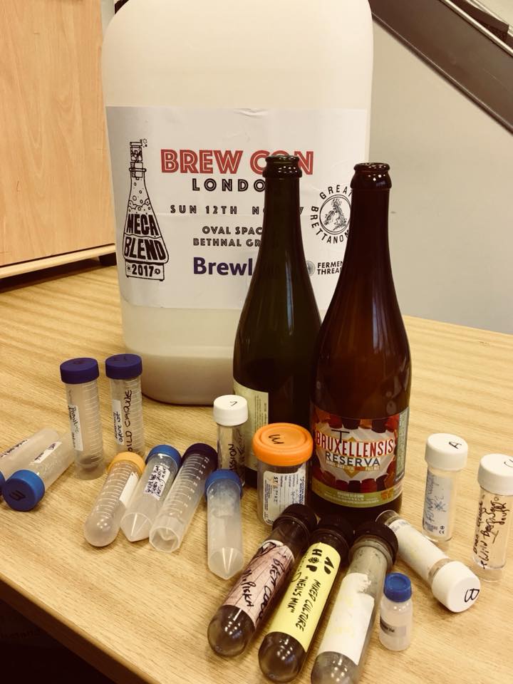 BrewlabLtd's tweet photo. Update 1 from the Great Brettanomyces Megablend now on Facebook https://t.co/evdziUcd0j @beerboars #brewcon2017 #brewcon #megablend https://t.co/DyYtzXI9SF