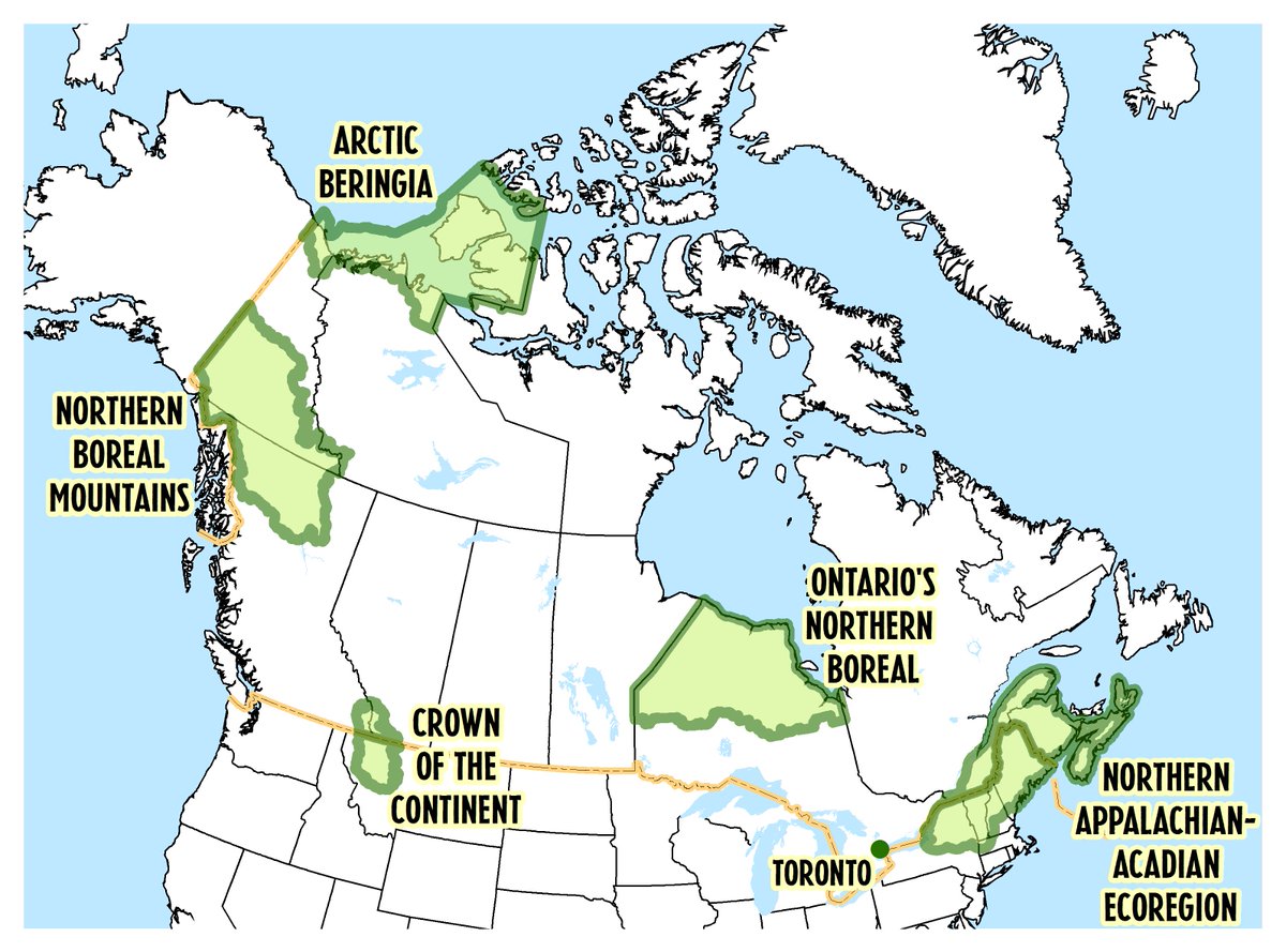 WCS_Canada's tweet image. Happy #GISDAY! We are celebrating all day by showing the ways we use #GIS to direct #conservation efforts across #Canada: ow.ly/rYqt30gB425 @Esri @esricanada @SCGIS #standforwildlife