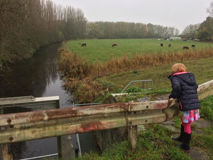 keenesluis's tweet photo. Er zijn nog geen pakjes aangespoeld bij de @keenesluis. @sintjournaal: door storm op zee pakjes overboord geslagen https://t.co/EC6E7C4oqK