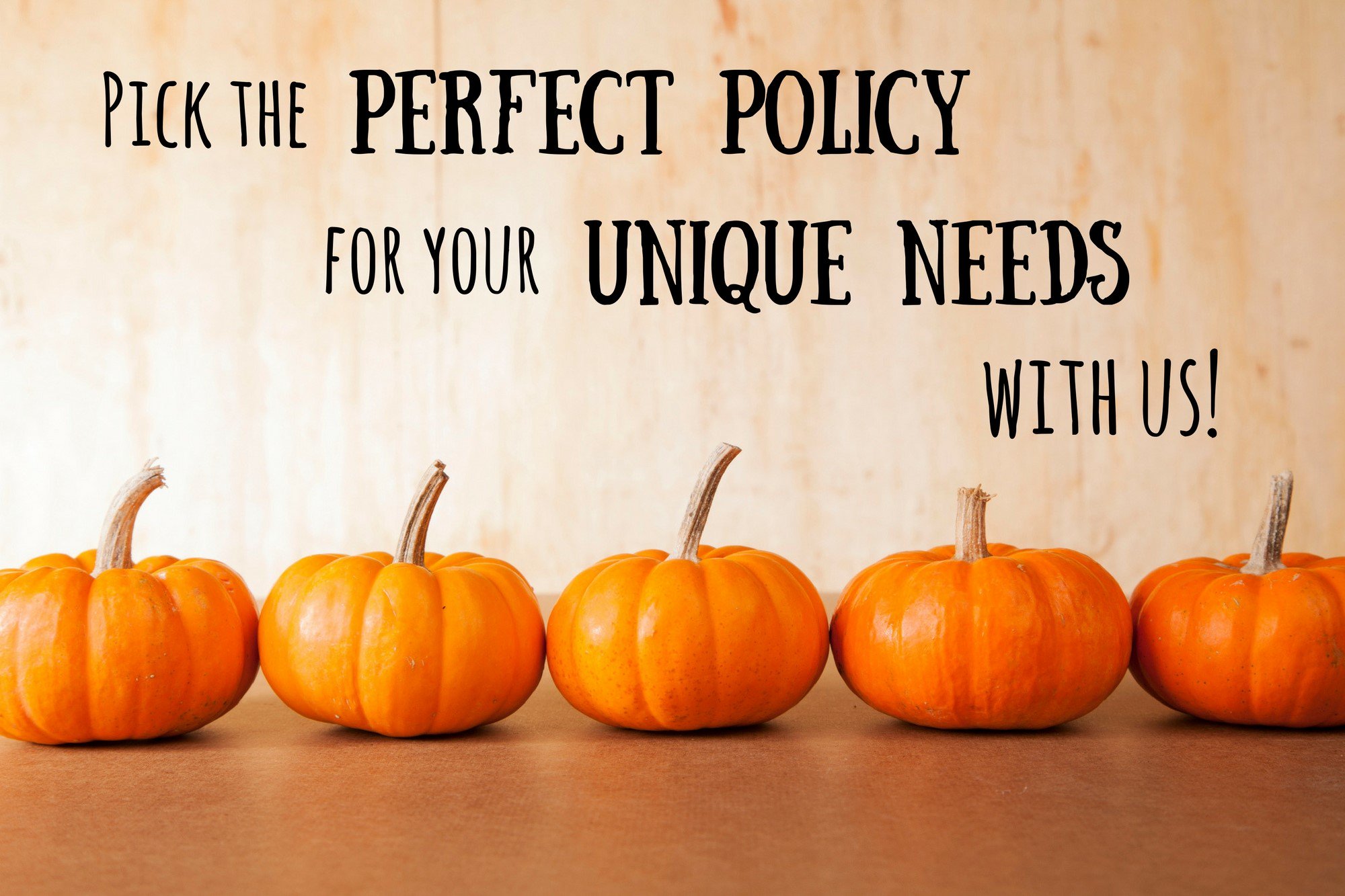 Pryor Insurance on Twitter "PerfectPolicy (828) 6972377…