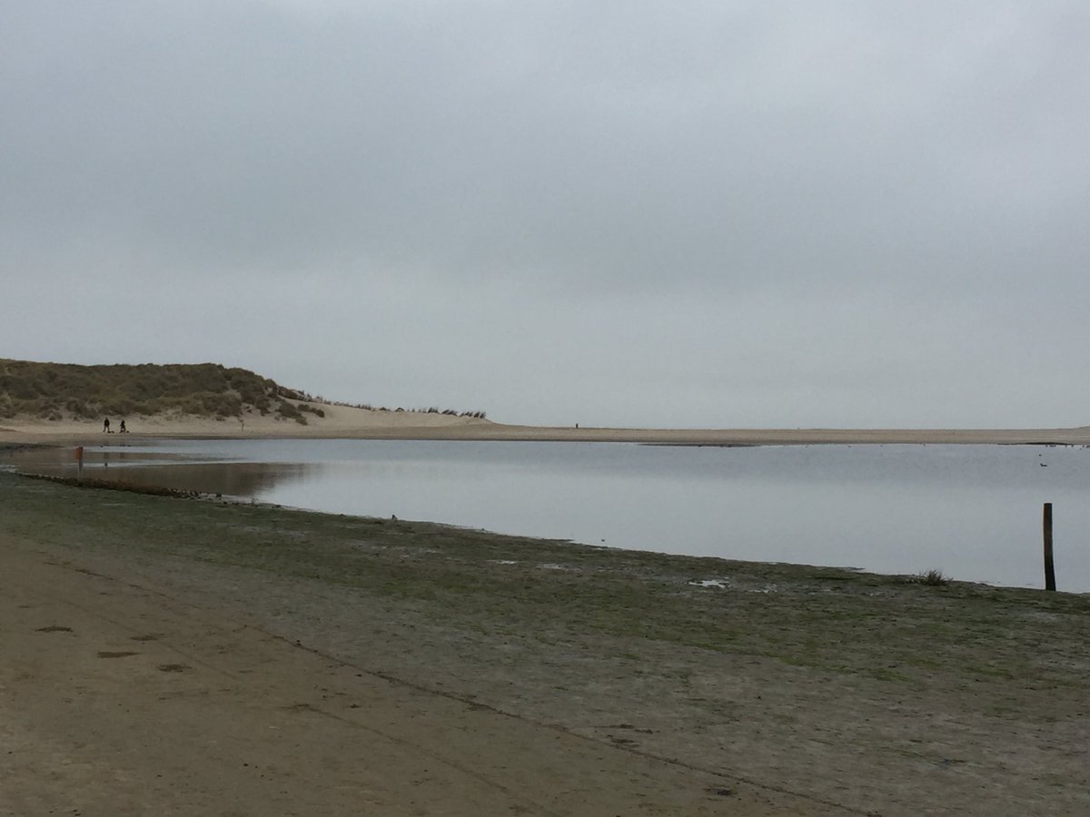 StTexelcampings's tweet photo. Vandaag weer een prachtige dag @NPTexel #gastheerschap.
Mooie #workshops en een super wandeling door de #Slufter met @janpleziertexel @BoswachterErik #gelachen #genoten #geleerd #bedanktallemaal https://t.co/egEpUVgXRe