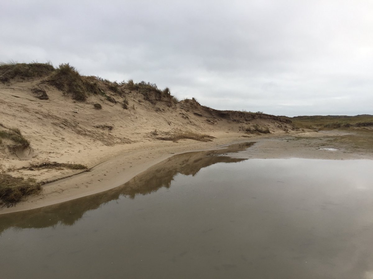 Vandaag weer een prachtige dag <a href="/NPTexel/">Nationaal Park Duinen van Texel</a> #gastheerschap.
Mooie #workshops en een super wandeling door de #Slufter met @janpleziertexel @BoswachterErik #gelachen #genoten #geleerd #bedanktallemaal
