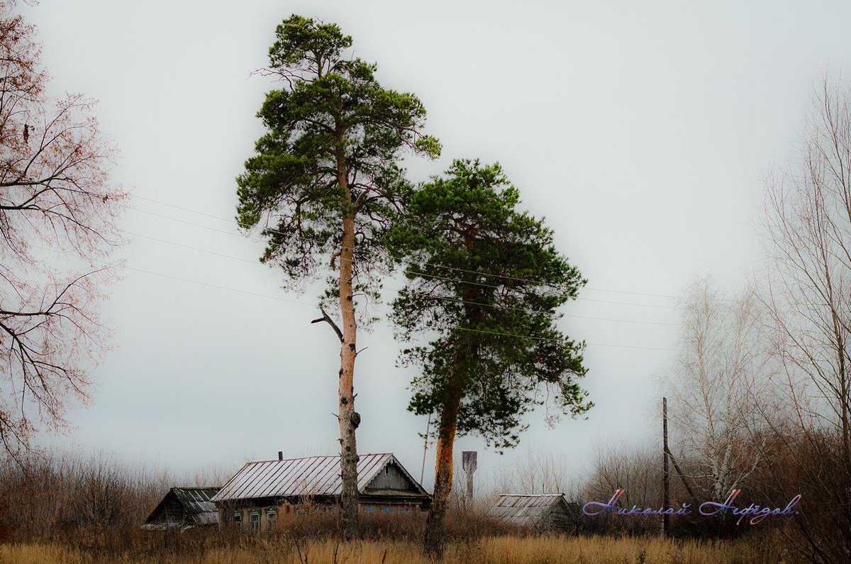 akbash60's tweet image. #Русскаядеревня.