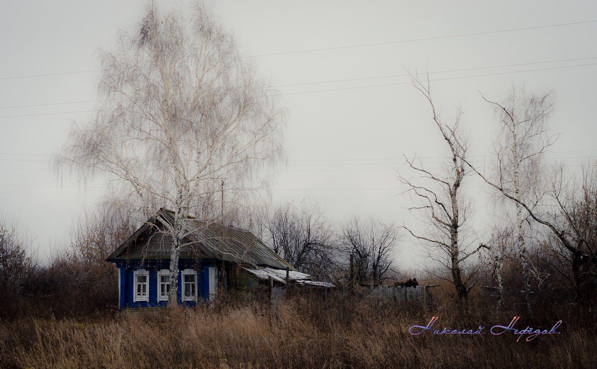 akbash60's tweet image. #Русскаядеревня.