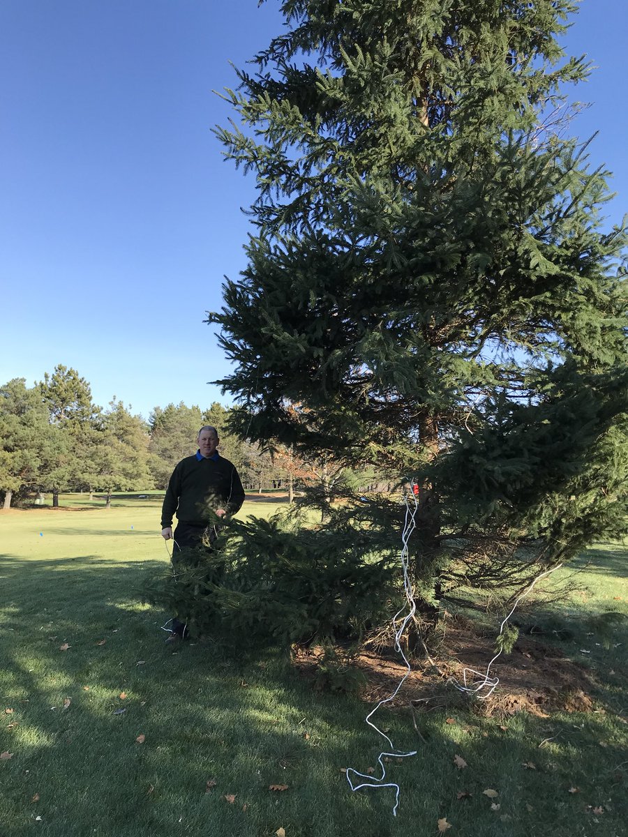Le travail continue sur le trou #2. Trois arbres ont étés transplantés, notre surintendant Perry Beausoleil déballe le dernier.