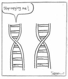 slamthatnucleus's tweet photo. The nucleus is full of genetic material, and that makes you, you! The nucleus is your identity! The nucleus is you! It defines you! #nucleusforpresident #WHS2017Slampaign @MsArmstrongWHS https://t.co/E40IH0Fz9u