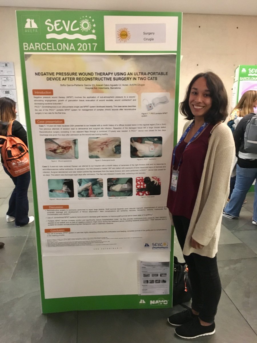 ArsVeterinaria's tweet photo. "Negative Pressure Wound Therapy Using An Ultra-Portable Device After Reconstructive Surgery In Two Cats" Ars Veterinaria en #SEVC2017 (En la foto, Sofía García-pertierra) https://t.co/cTsT1uSwAb