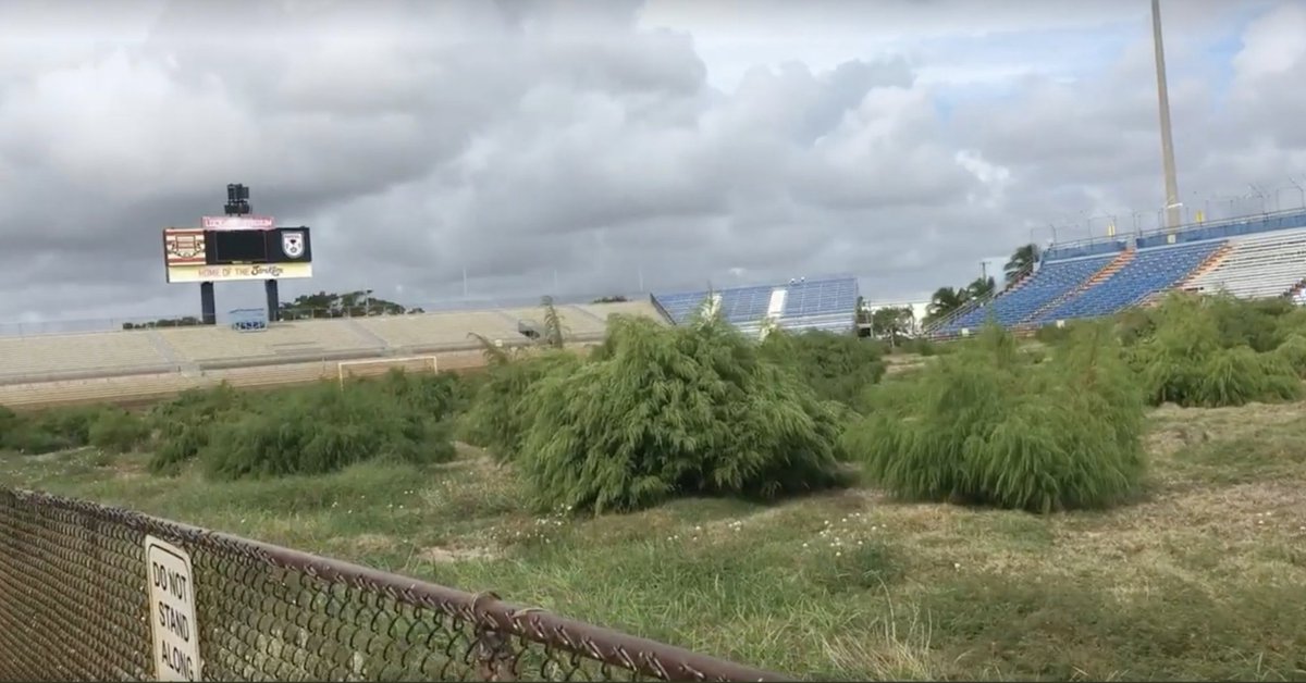Excited about the 2018 <a href="/FTLStrikers/">Fort Lauderdale Strikers FC</a> starting XI. I think we're gonna be pretty good. #ThanksRonaldo