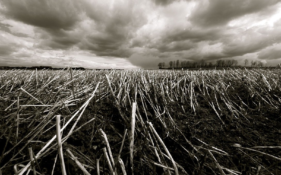 _SlowRobot_'s tweet image. New track &quot;Suspense Piano&quot; is a emotional, mellow and tragic background track in dark ambient style.

audiojungle.net/item/suspense-…